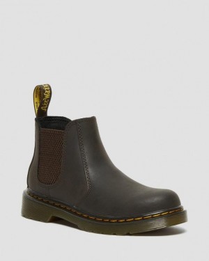 Dark Brown Kids' Dr Martens Junior 2976 Wildhorse Leather Chelsea Boots | USA_Dr51960